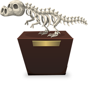 A Skeleton Of A Dinosaur On A Brown Box
