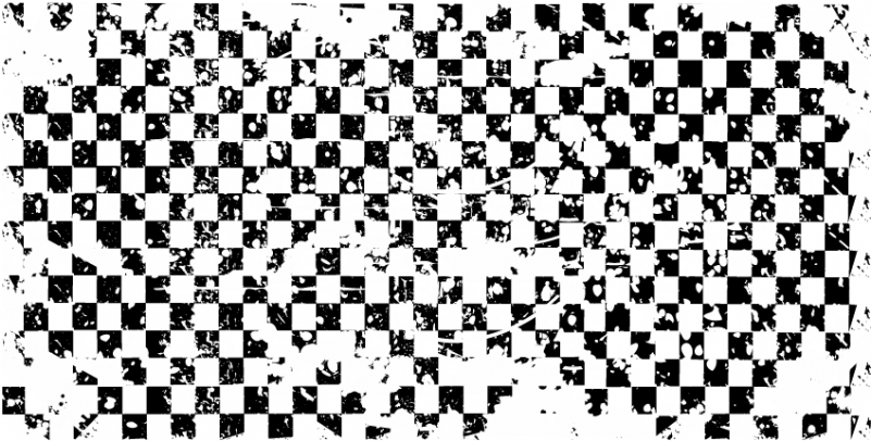 A Black And White Checkered Pattern