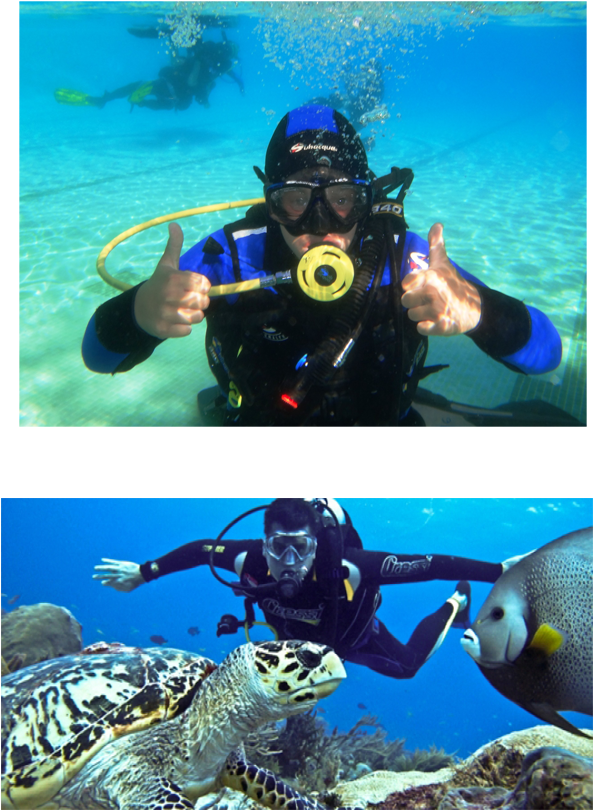 A Man In Scuba Gear And A Turtle Swimming In The Water