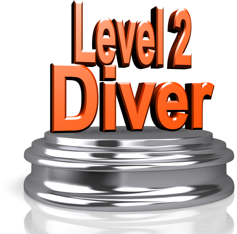 Diver Png 938 X 926