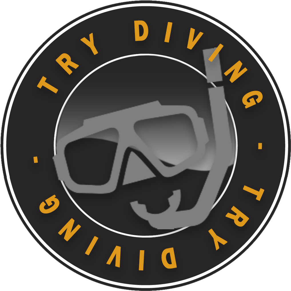 Diver Png 1018 X 1018