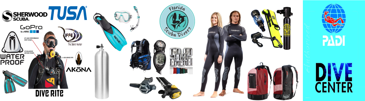 A Group Of Women In Wetsuits And Scuba Gear