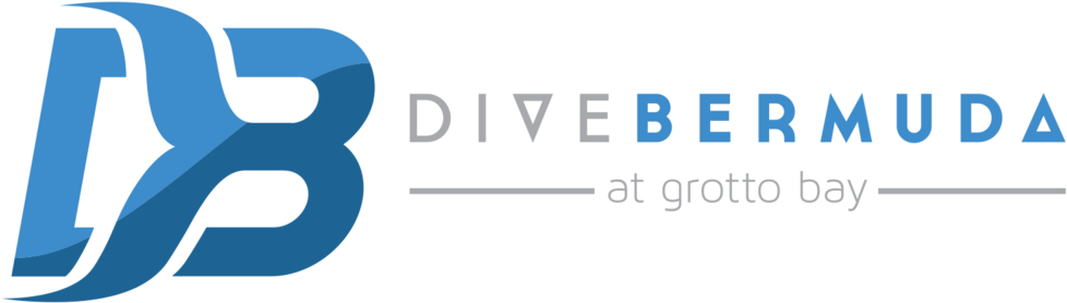 Diver Png 978 X 278