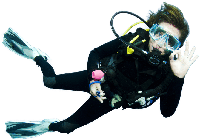 Diving - Scuba Diving Transparent, Hd Png Download