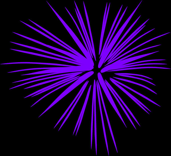 A Purple Flower With Black Background
