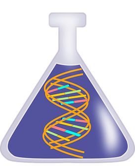 Dna Png 273 X 340