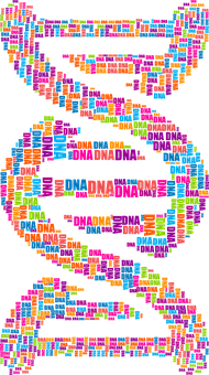 Dna Png 190 X 340