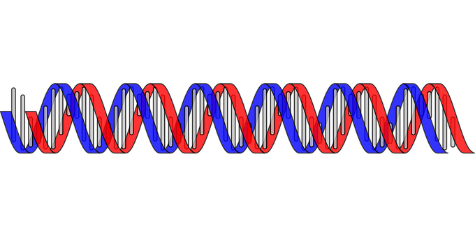 Dna Png 680 X 340