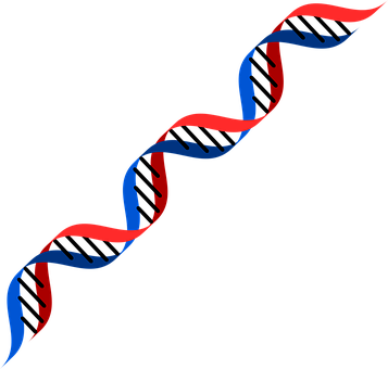 Dna Png 357 X 340
