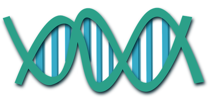 A Green And Blue Dna Strand