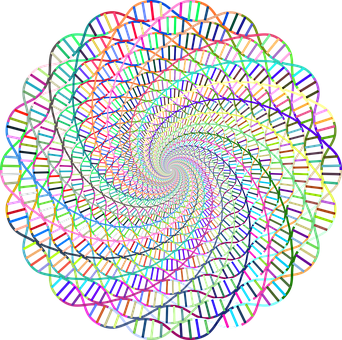 A Spiral Of Colorful Spiraling Lines