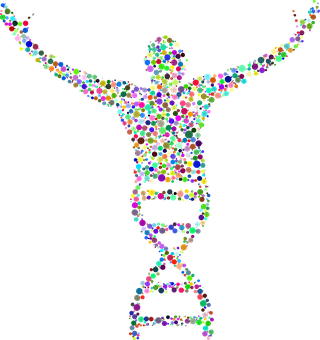 Dna Png 320 X 340