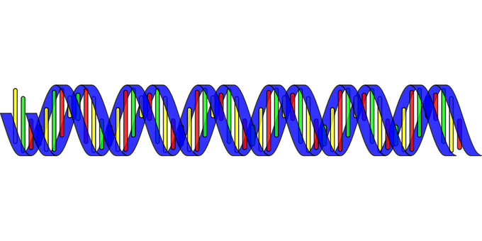 Dna Png 680 X 340