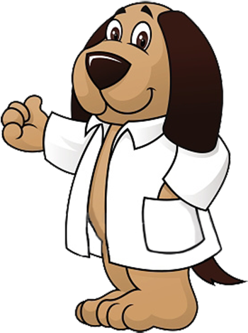 Doctor Clipart Png 350 X 470
