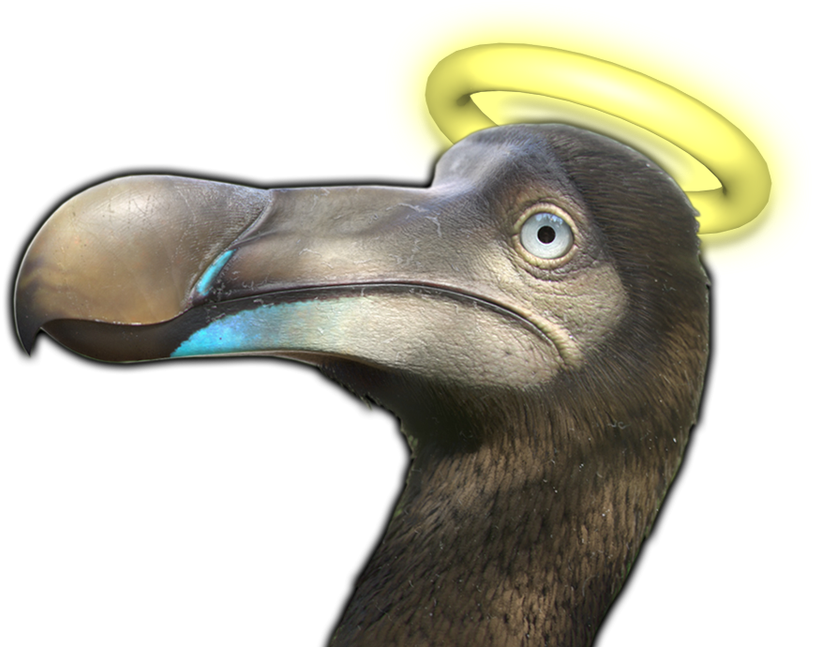 Dodo Bird With Halo