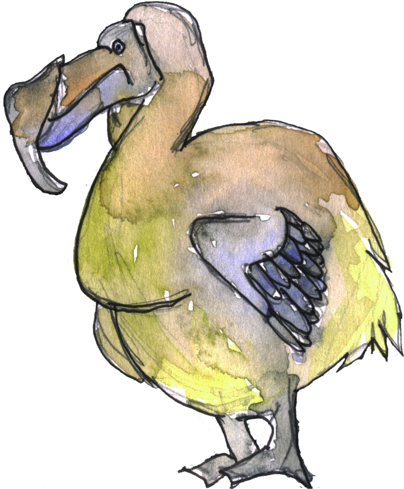 A Watercolor Of A Bird
