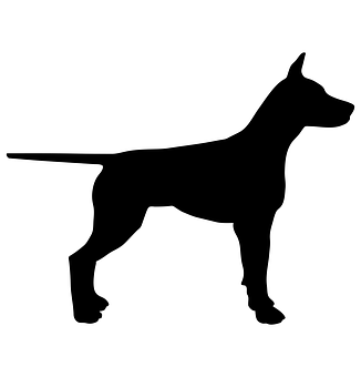 A Silhouette Of A Dog
