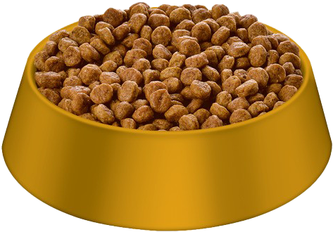 A Bowl Of Dry Food