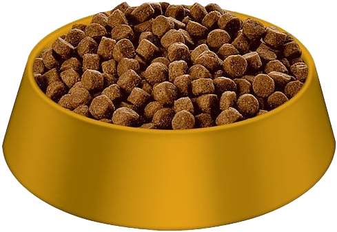 A Bowl Of Dog Food