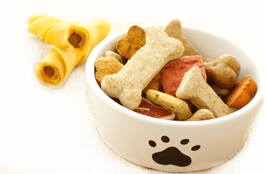 Dog Food Png 850 X 555
