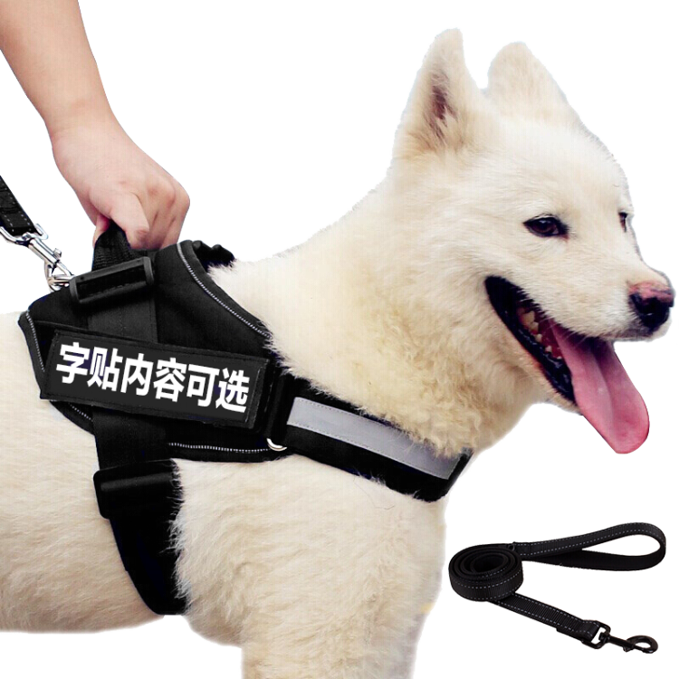 A Dog Wearing A Harness