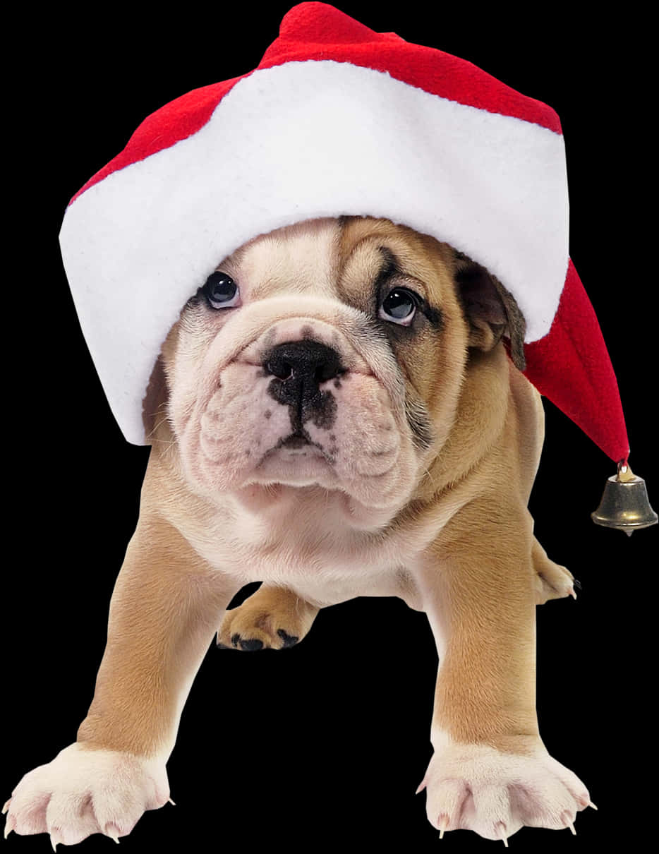 A Puppy Wearing A Santa Hat