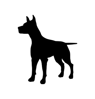 A Silhouette Of A Dog
