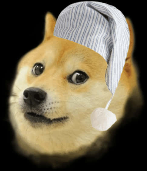 Doge Meme With Sleeping Cap