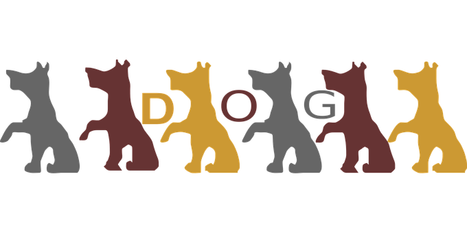 A Group Of Dogs In Different Colors