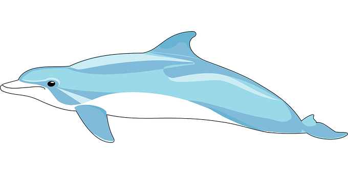 Dolphin Png 680 X 340