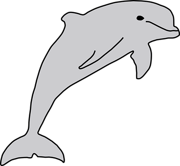 Dolphin Png 368 X 340