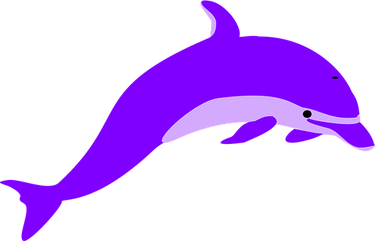 A Purple Dolphin With A Black Background