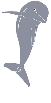 A Grey Whale Tail On A Black Background