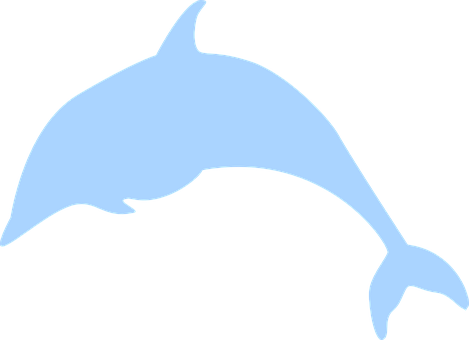 Dolphin Png 469 X 340