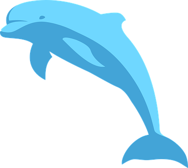 A Blue Dolphin Jumping Out Of The Water