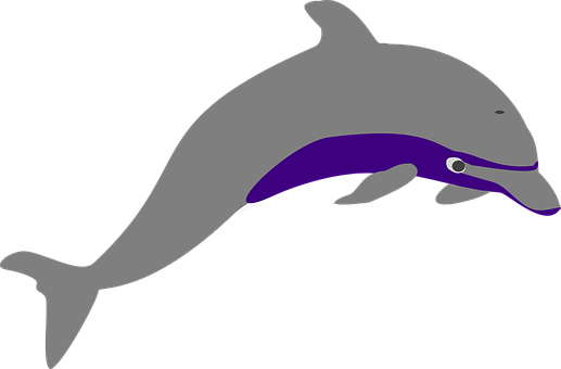 A Dolphin With A Purple Stripe