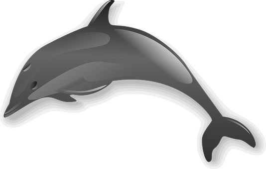 Dolphin Png 534 X 340