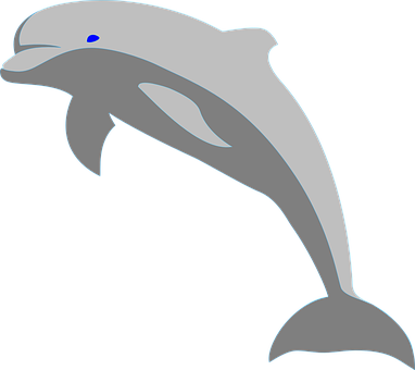 Dolphin Png 382 X 340