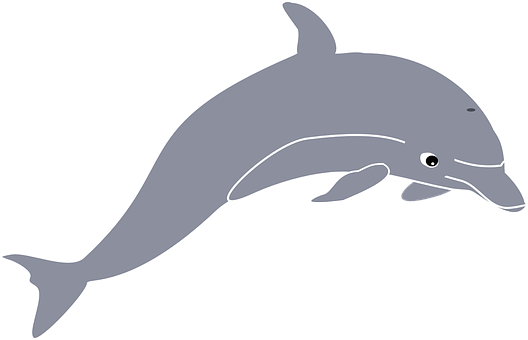 Dolphin Png 528 X 340