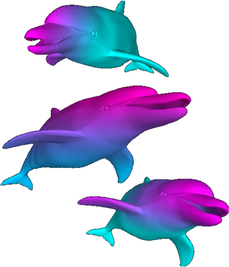 A Group Of Dolphins In Different Colors