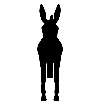 A Silhouette Of A Donkey