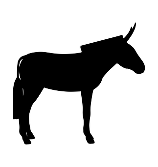 A Silhouette Of A Donkey