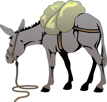 A Donkey With A Backpack On Its Back