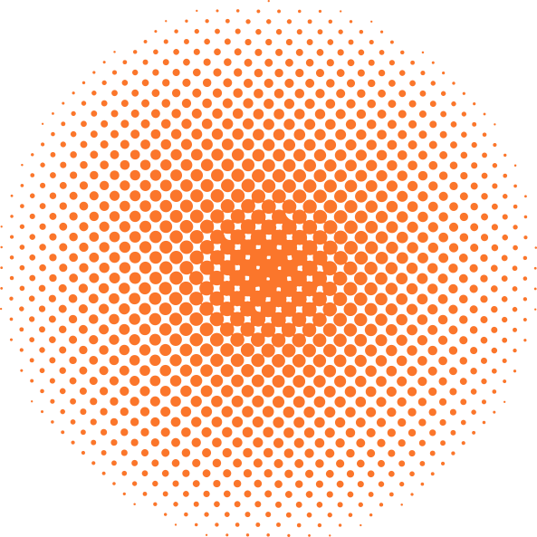 A Orange And Black Circle