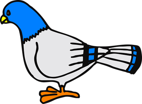 A Bird With Blue Head And Orange Feet