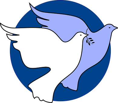 A White Doves With A Blue Circle Around It