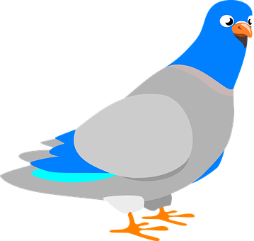 A Bird With Blue And Grey Feathers