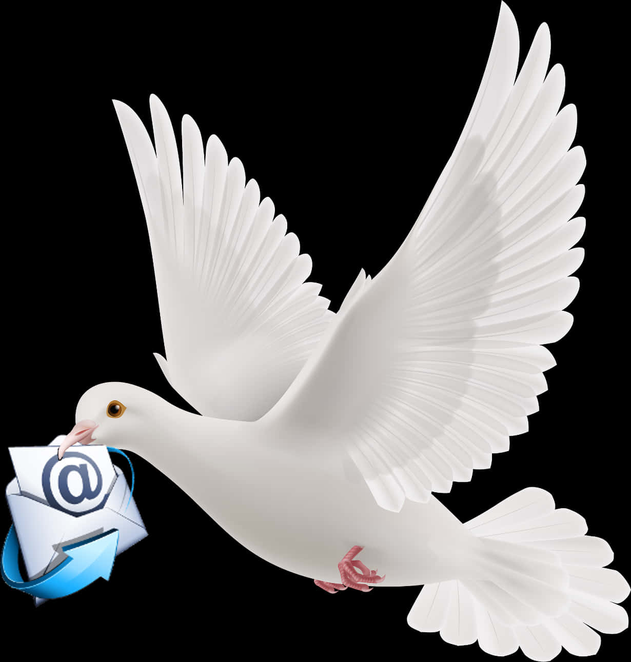 A White Dove Carrying An Envelope