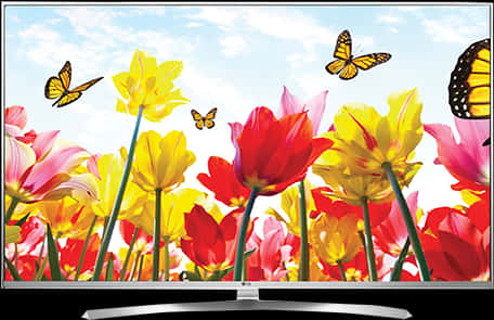 A Television Screen With Butterflies