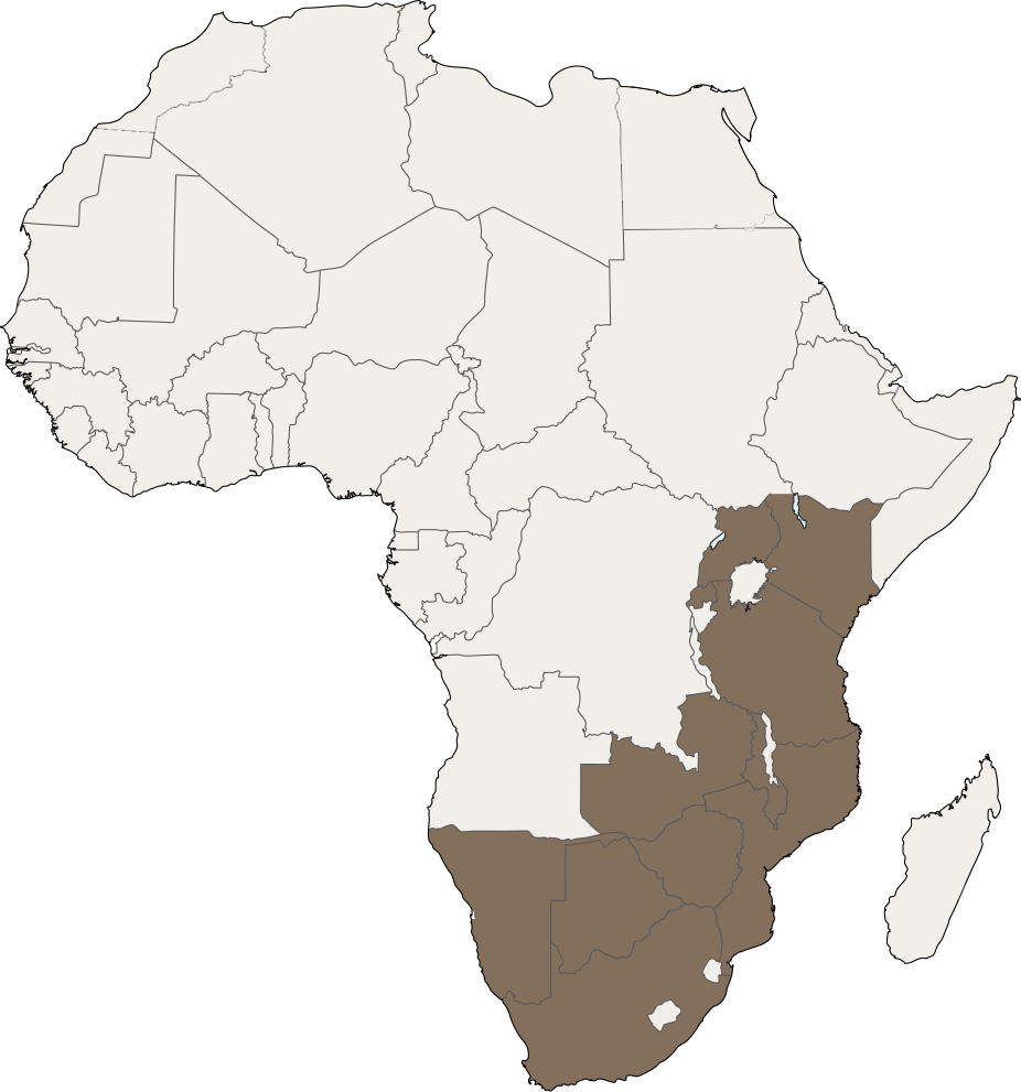 A Map Of Africa With Different Countries/regions